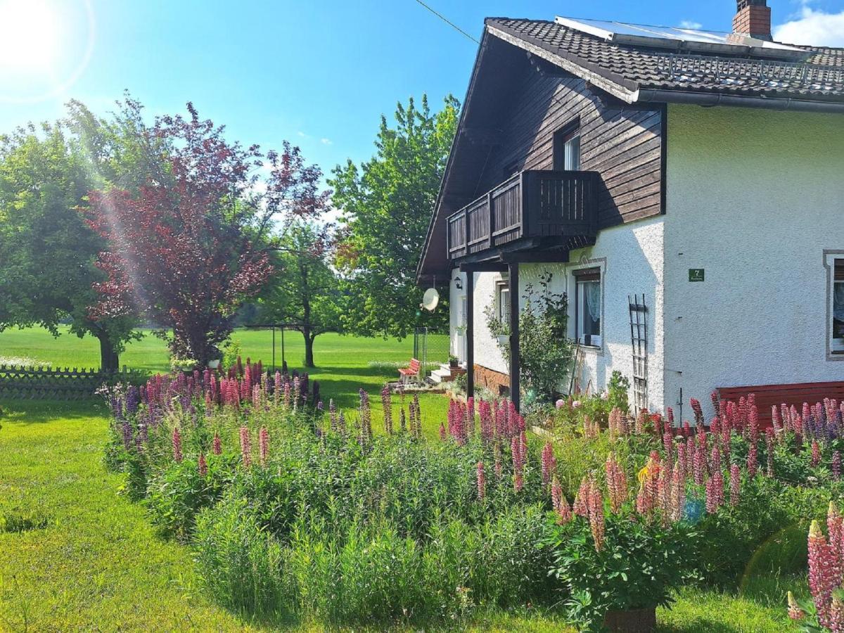 Pension Schneider Frauenau Esterno foto