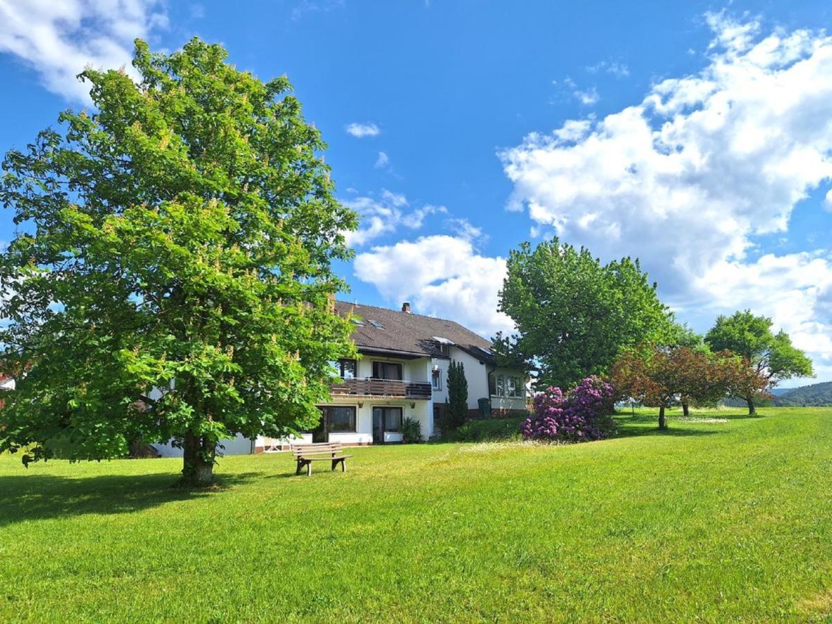 Pension Schneider Frauenau Esterno foto